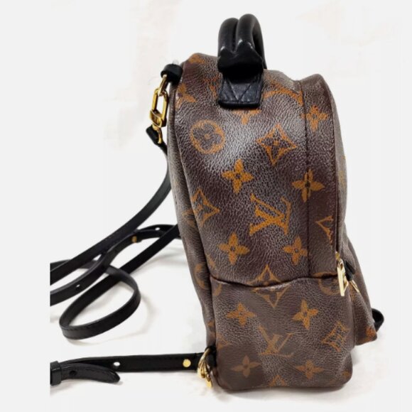 Mini Palm Springs Louis Vuitton Backpack - Picture 4 of 14